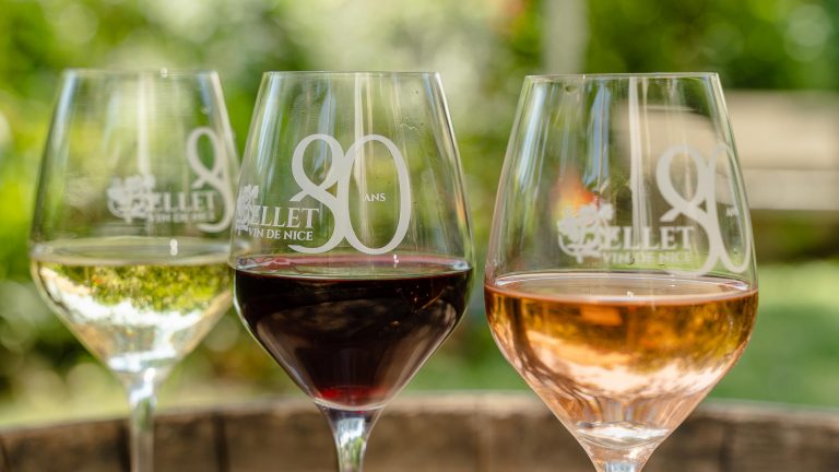 nos vins en 3 couleurs, blanc, rouge et rosé