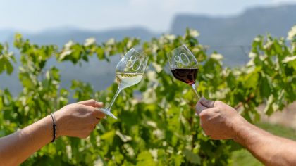 Degustation des vins du domaine de la source dans les vignes
